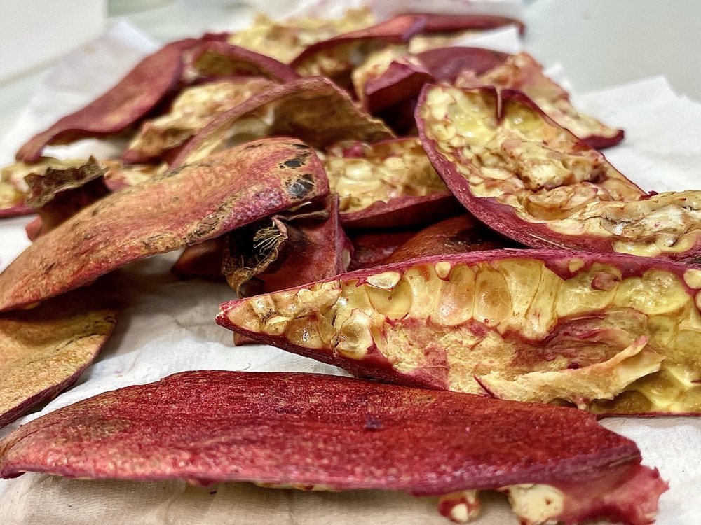 Dried pomegranate skins, the dye source