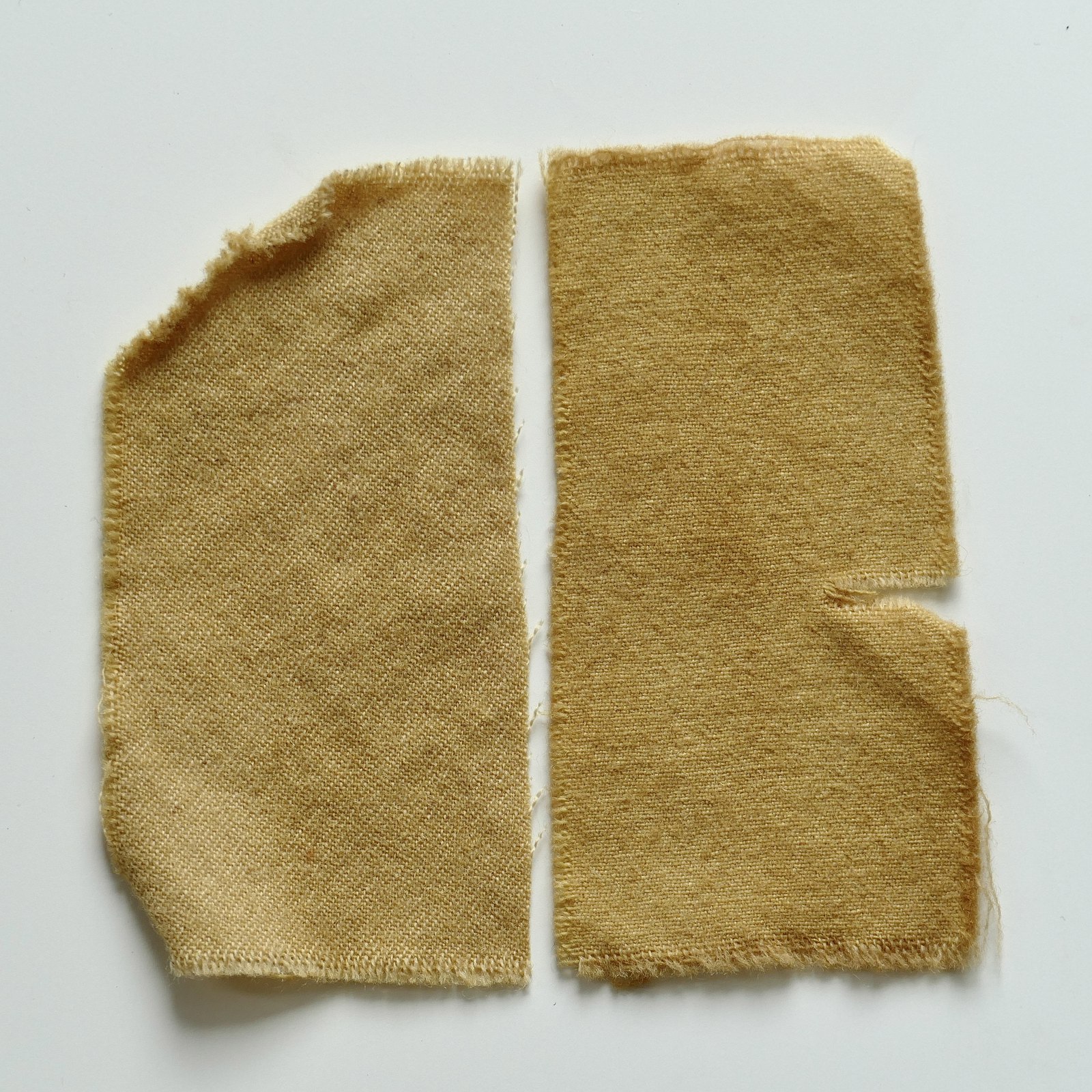 Wool dyed with pomegranate after an alum mordant — clear gold