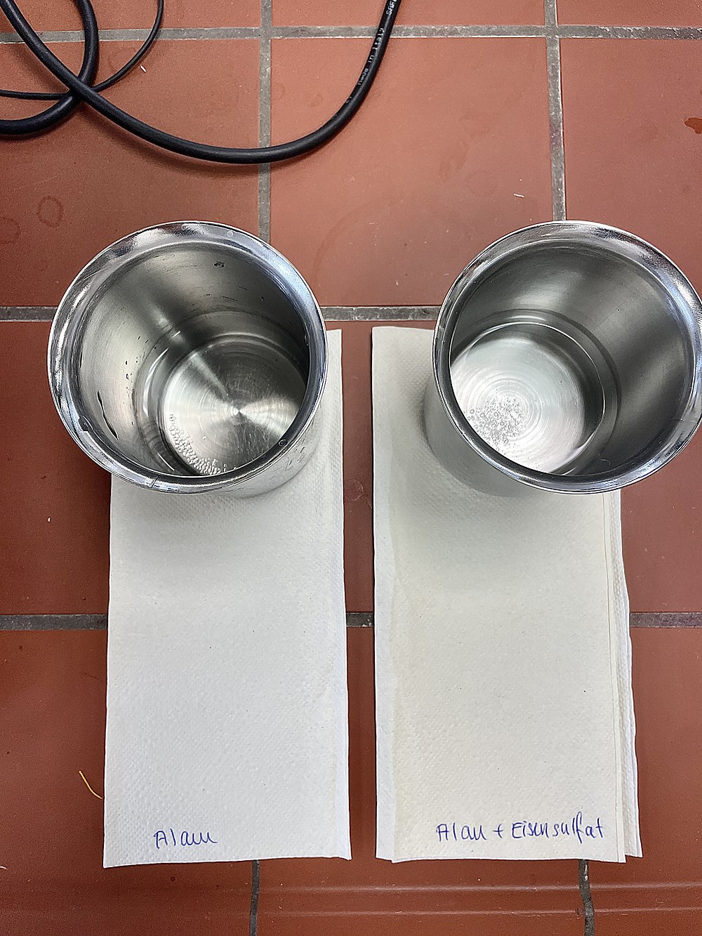 Two beakers labelled alum and alum plus iron sulphate — the mordant baths